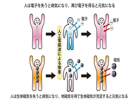 強磁場 人体 影響